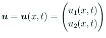 $ \bm{u}=\bm{u}(x,t)=\begin{pmatrix}u_1(x,t)\\
u_2(x,t)\end{pmatrix}$